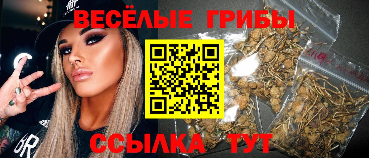 Калач-на-Дону  Галлюциногенные грибы мухоморы  Вход с VPN 