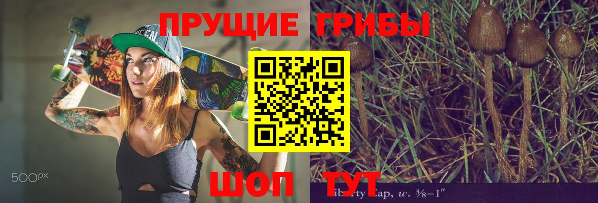 Галлюциногенные грибы GOLDEN TEACHER Калач-на-Дону