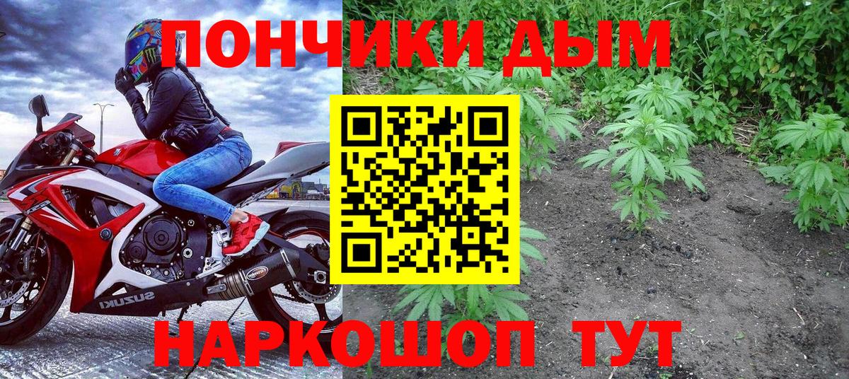 Бошки Шишки OG Kush Калач-на-Дону
